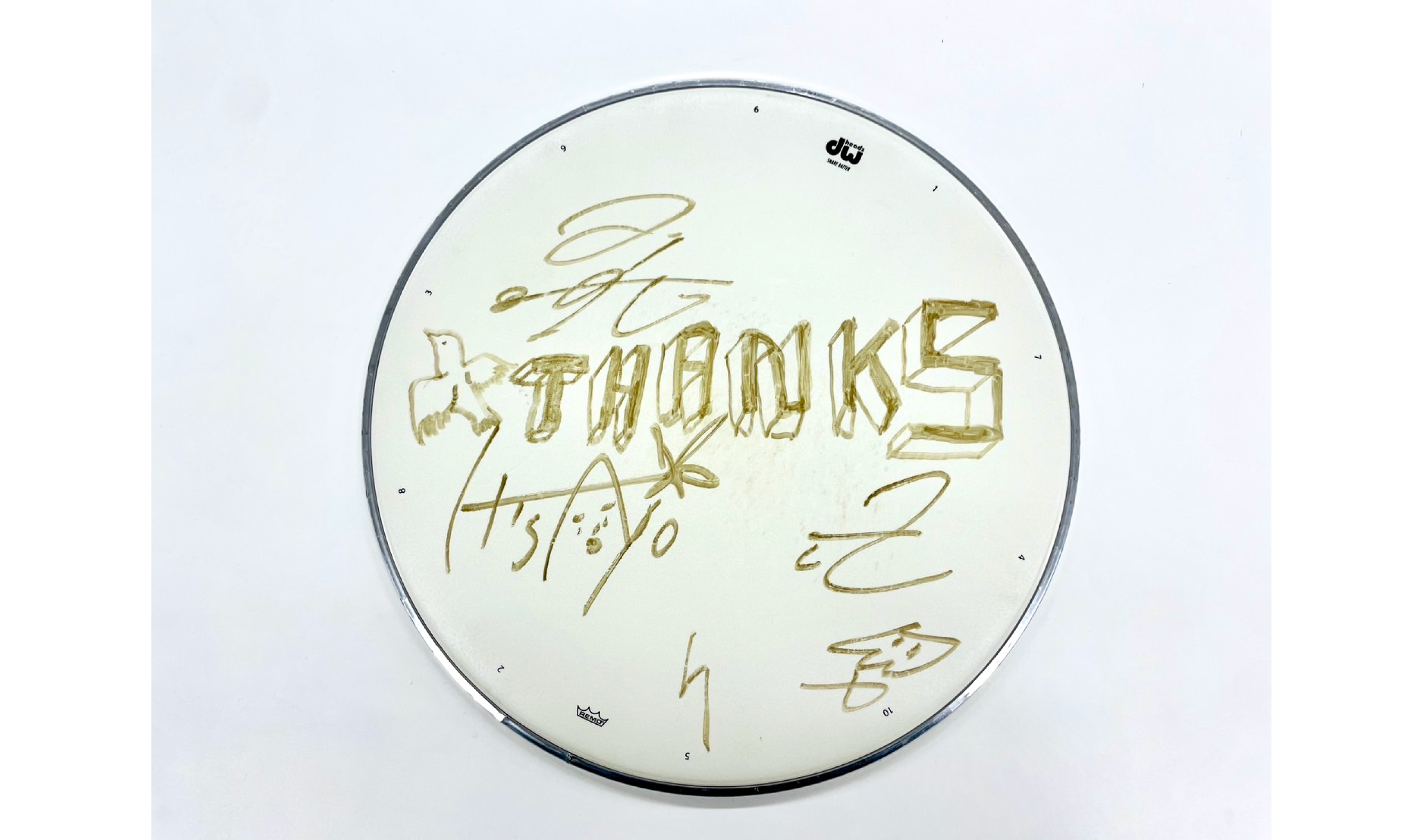 a flood of circle 新宿・歌舞伎町にて入場無料のフリーライブ開催